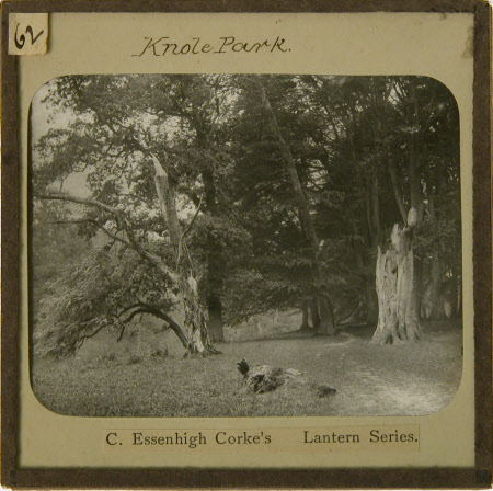 Lantern slide