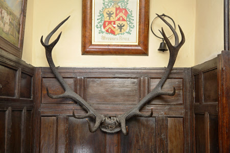 Antler