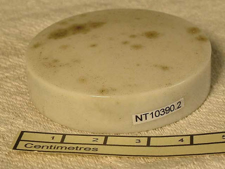 Tyntesfield © National Trust