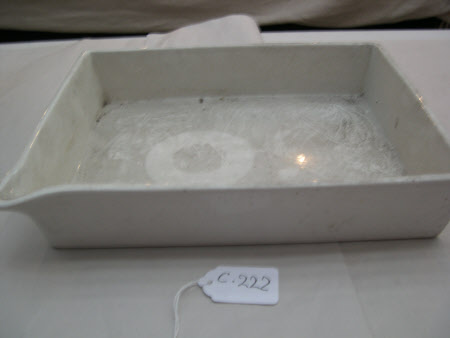 Developing tray
