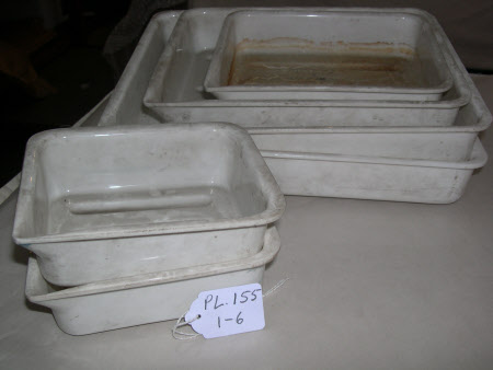 Developing tray