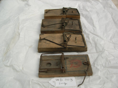 Mouse trap
