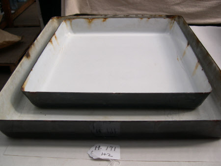 Developing tray
