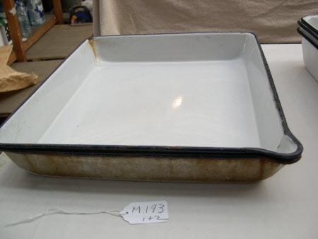 Developing tray