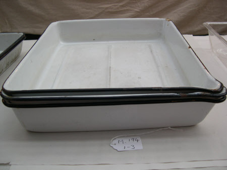 Developing tray