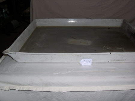 Developing tray