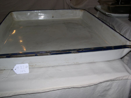 Developing tray