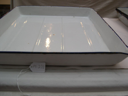 Developing tray