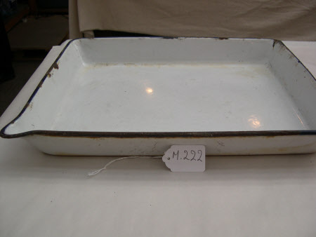 Developing tray