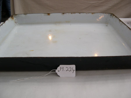 Developing tray