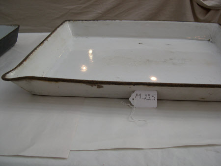 Developing tray