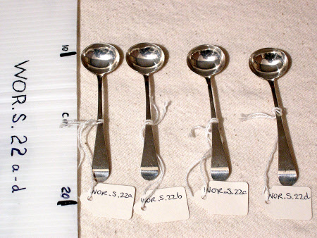 Condiment spoon