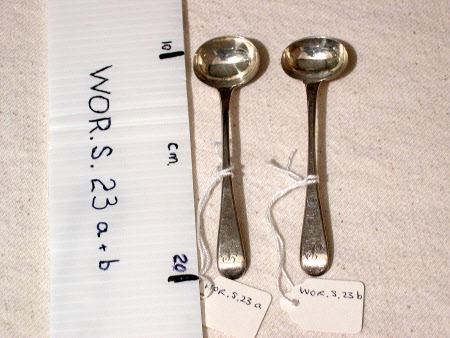 Condiment spoon