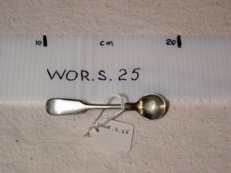 Condiment spoon