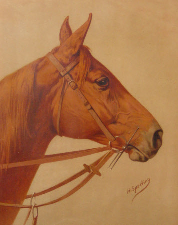 Head of a Bay Horse