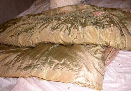 Curtain
