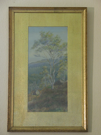 Above Ladore, Borrowdale, Lake District