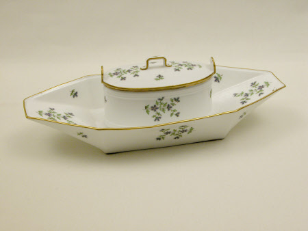 Dish