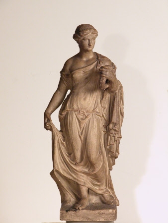 Flora