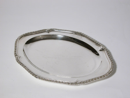 Dish