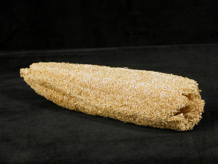 Loofah