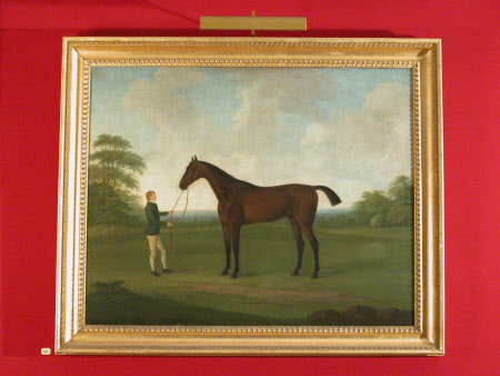 Saltram © National Trust / Sophia Farley & Denis Madge