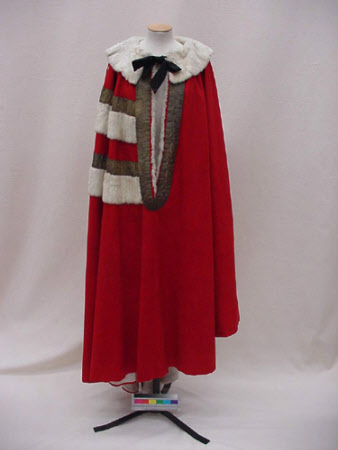 Parliamentary robe