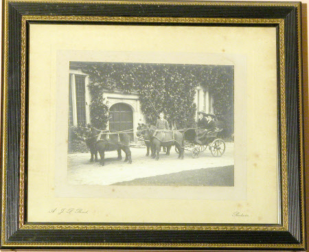 The Hon. Edith Violet Kathleen Agar-Robartes (1888-1965) driving a pony phaeton with four Shetland ...
