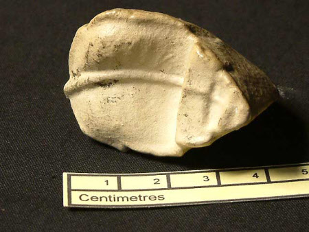 Plaster leaf