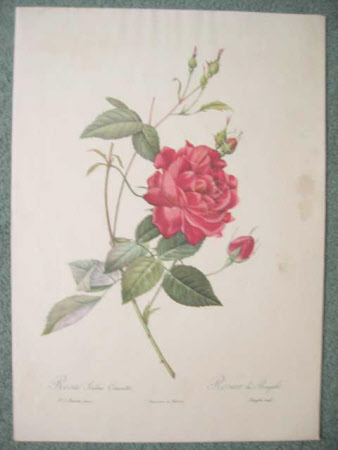 Print