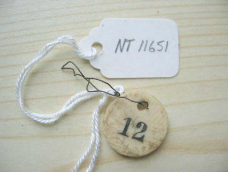 Disc