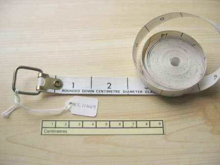 Tape measure