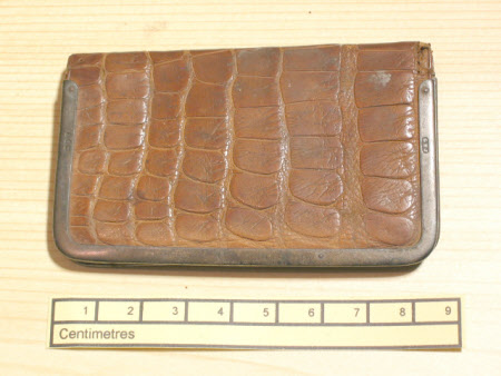 Carrying case