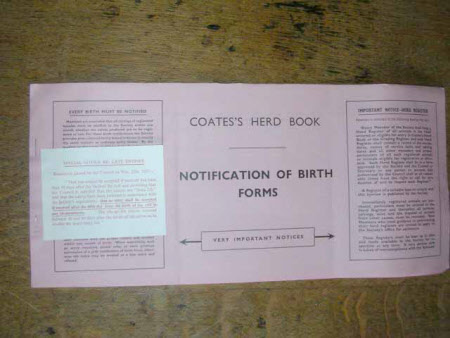 Tyntesfield © National Trust