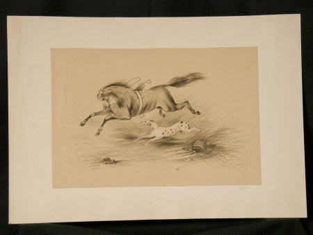 Galloping saddled horse with dog 