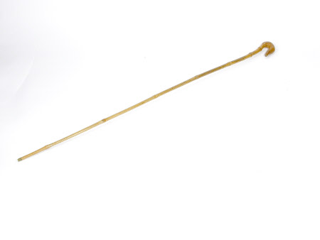 Walking cane