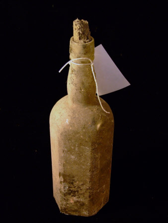 Gin bottle
