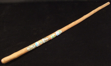 Walking stick