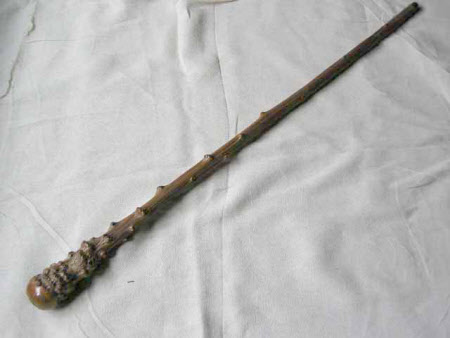 Walking stick