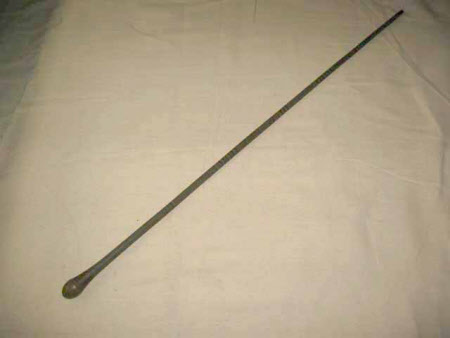 Walking stick