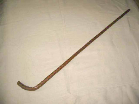 Walking stick