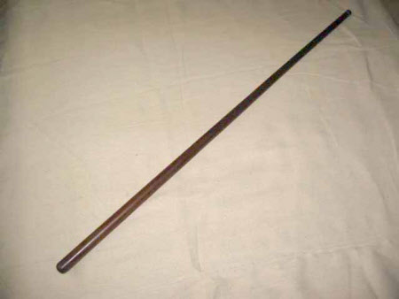 Walking stick
