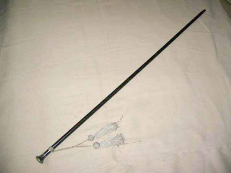 Walking stick