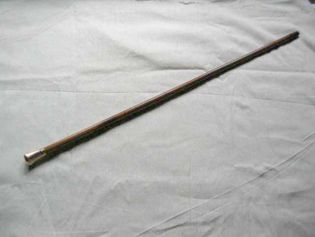 Walking stick