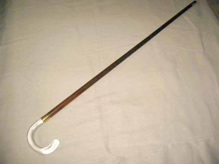 Walking stick