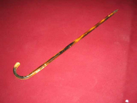 Walking stick