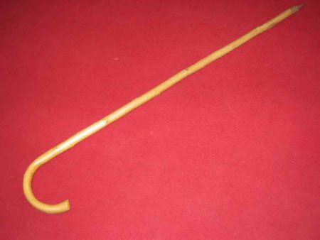 Walking stick