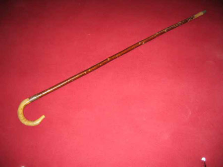 Walking stick