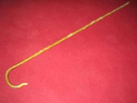 Walking stick