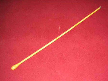 Walking stick